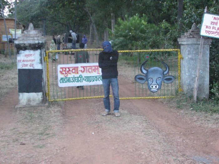 I Visited The Tadoba Tiger Reserve Santuary I Visited The Tadoba Tiger Reserve Santuary