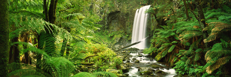 I Bought A $60,000 Digital Camera But I Still Prefer Film. Can You Spot The Difference?