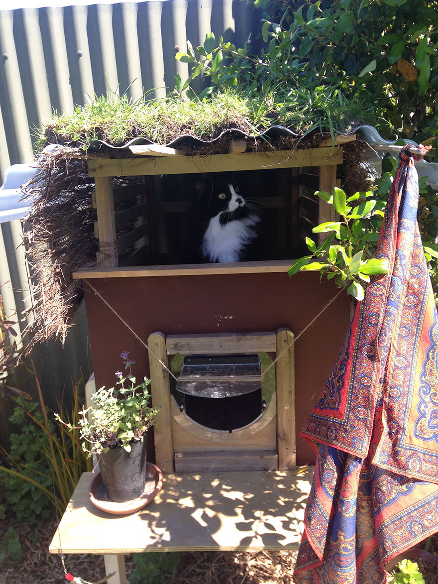 I Created An Outdoor Cat House I Created An Outdoor Cat House
