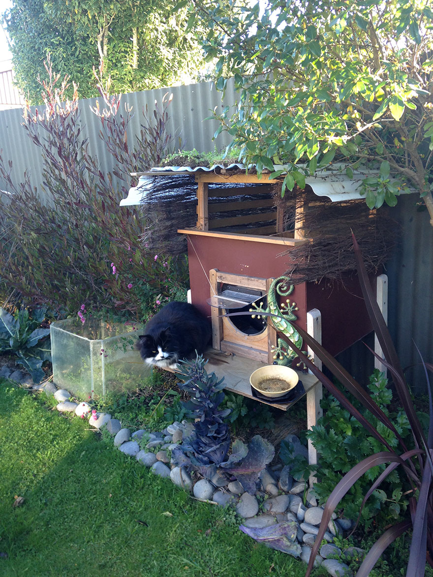 I Created An Outdoor Cat House I Created An Outdoor Cat House