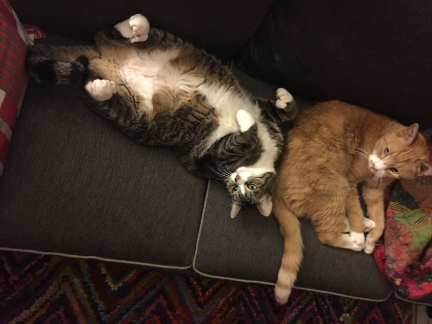 She Is Still Being Invasive... She Is Still Being Invasive...