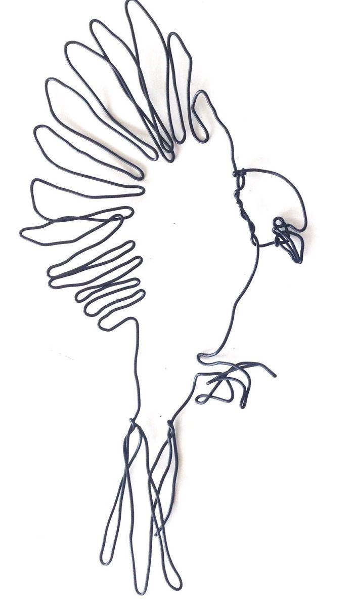 I Make All Kind Of Wire Portraits: Humans, Animals And Plants