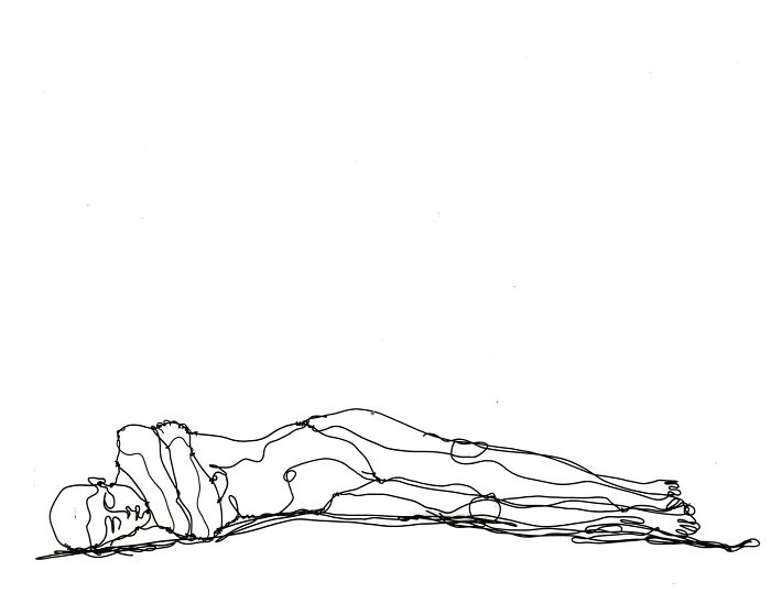 I Make All Kind Of Wire Portraits: Humans, Animals And Plants