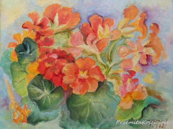 Nasturtiums