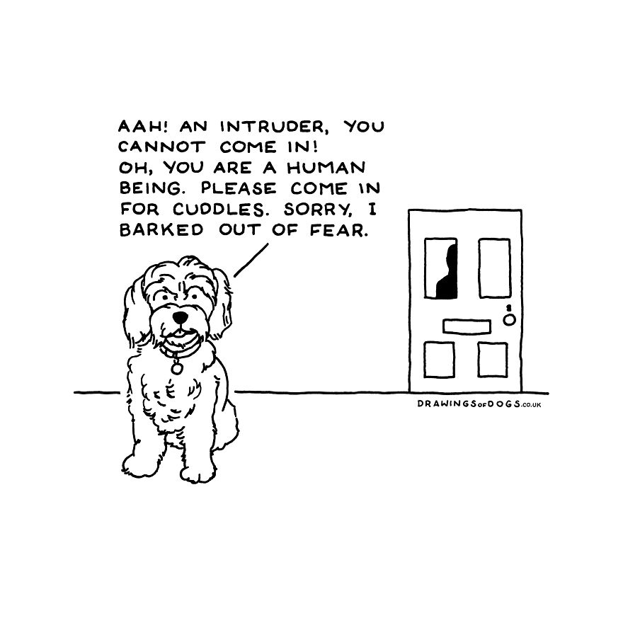 I Started Doing Amusing Drawings Of Dogs When Anxiety Forced Me To Drop Out Of A Philosophy Phd.
