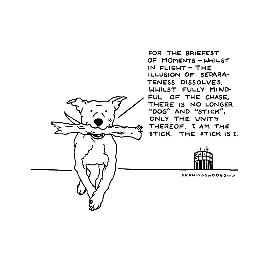 I Started Doing Amusing Drawings Of Dogs When Anxiety Forced Me To Drop Out Of A Philosophy Phd.