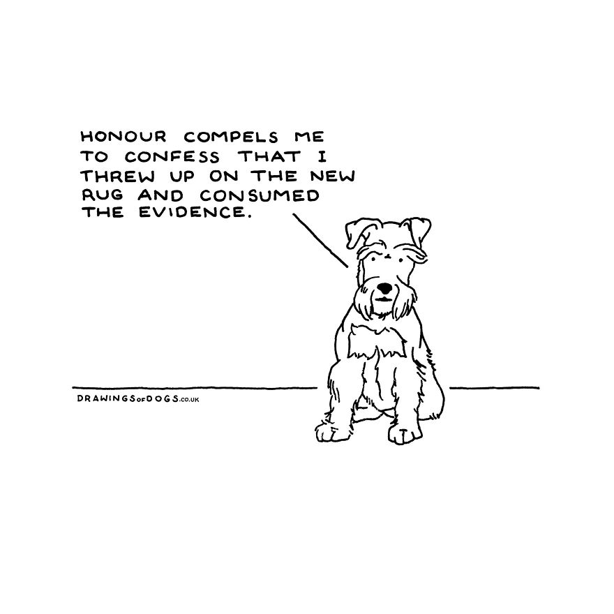 I Started Doing Amusing Drawings Of Dogs When Anxiety Forced Me To Drop Out Of A Philosophy Phd.