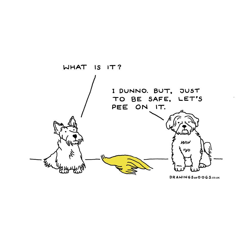 I Started Doing Amusing Drawings Of Dogs When Anxiety Forced Me To Drop Out Of A Philosophy Phd.