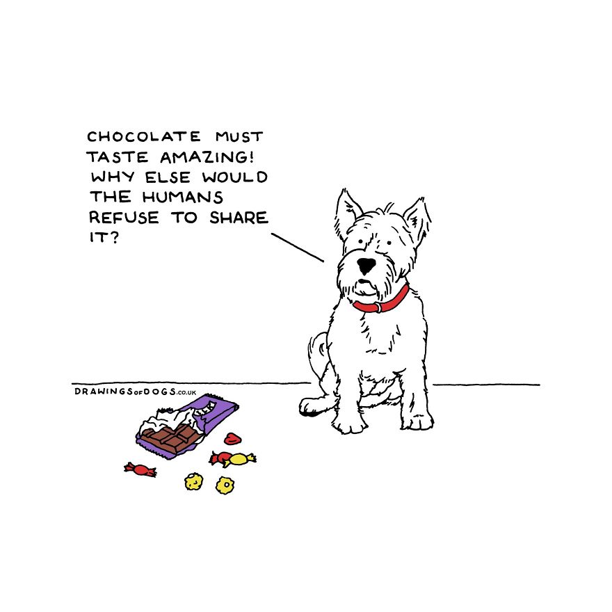 I Started Doing Amusing Drawings Of Dogs When Anxiety Forced Me To Drop Out Of A Philosophy Phd.
