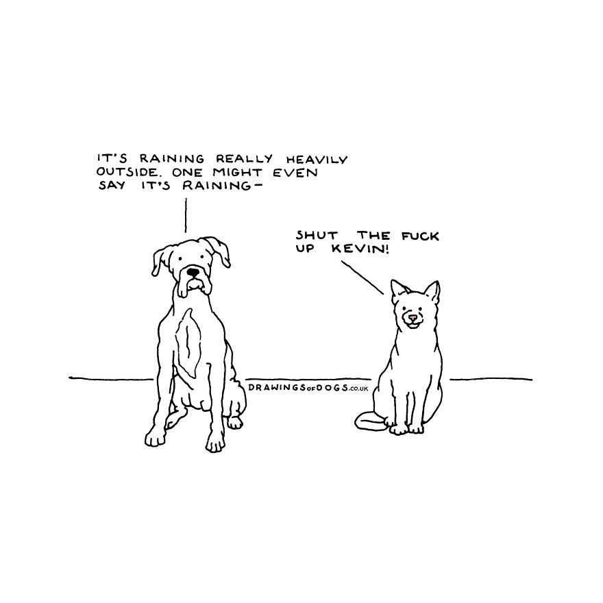 I Started Doing Amusing Drawings Of Dogs When Anxiety Forced Me To Drop Out Of A Philosophy Phd.