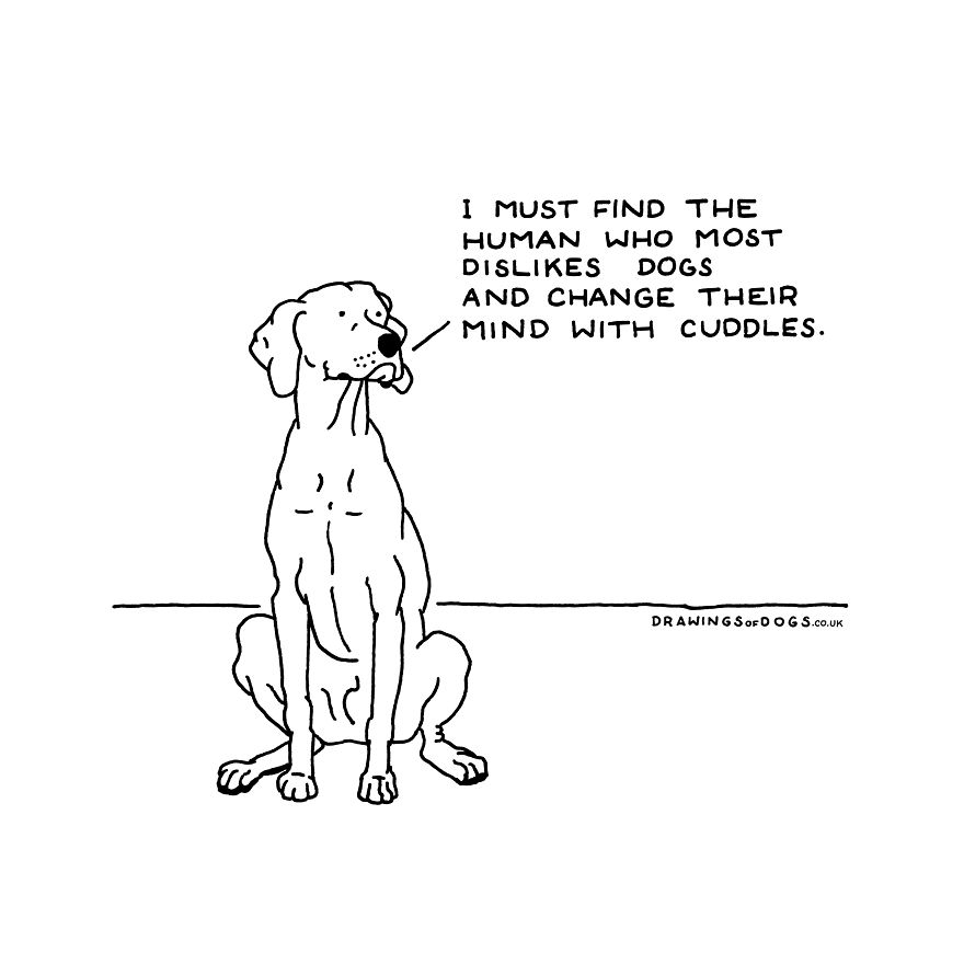 I Started Doing Amusing Drawings Of Dogs When Anxiety Forced Me To Drop Out Of A Philosophy Phd.