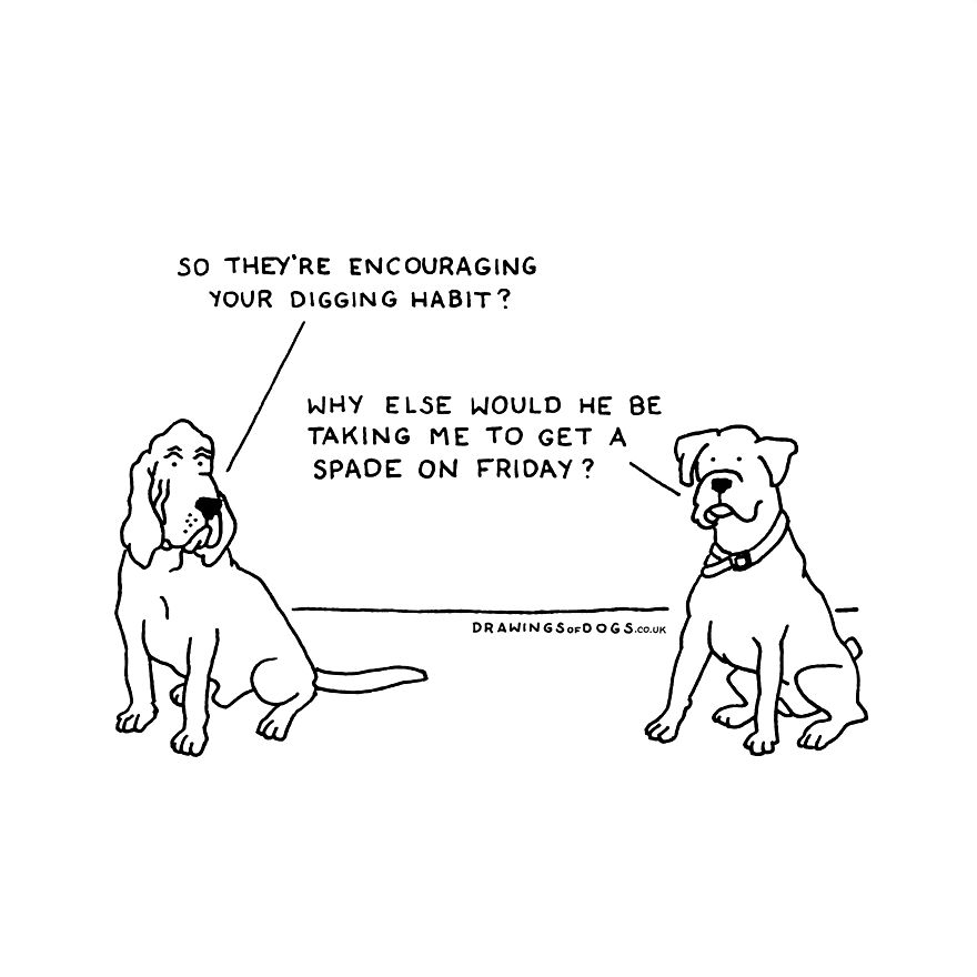 I Started Doing Amusing Drawings Of Dogs When Anxiety Forced Me To Drop Out Of A Philosophy Phd.