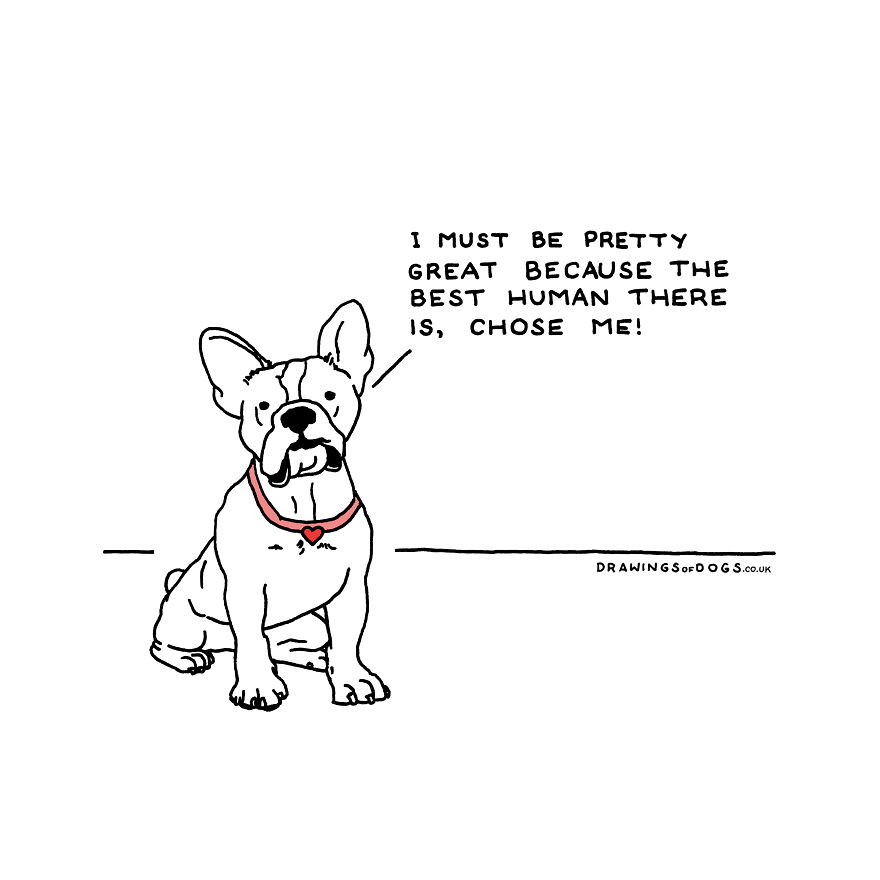 I Started Doing Amusing Drawings Of Dogs When Anxiety Forced Me To Drop Out Of A Philosophy Phd.