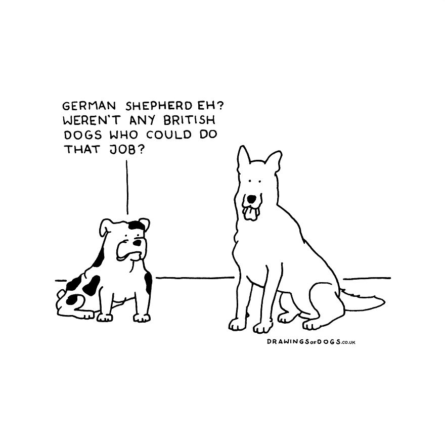 I Started Doing Amusing Drawings Of Dogs When Anxiety Forced Me To Drop Out Of A Philosophy Phd.