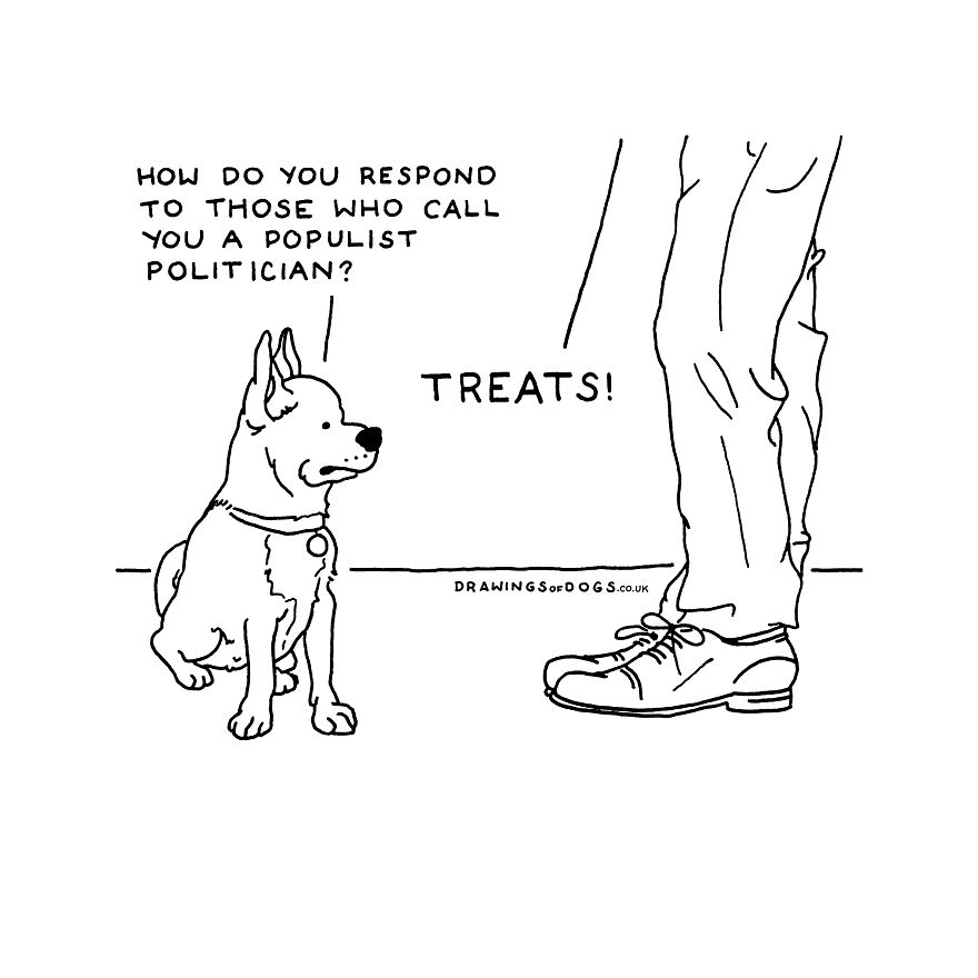 I Started Doing Amusing Drawings Of Dogs When Anxiety Forced Me To Drop Out Of A Philosophy Phd.