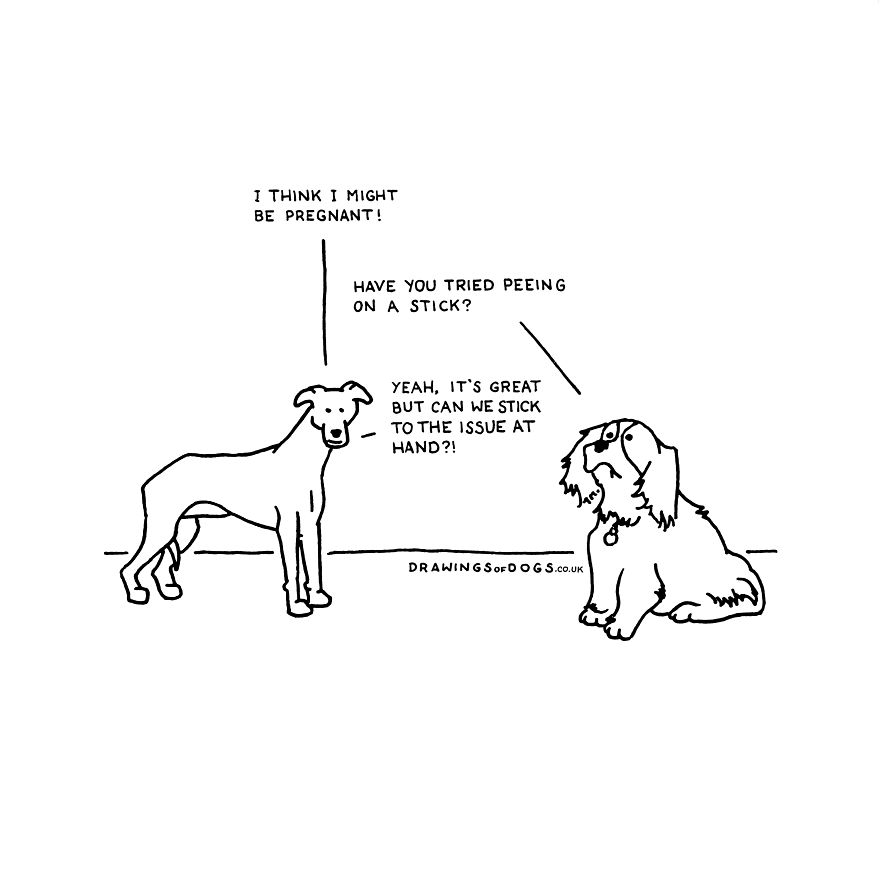 I Started Doing Amusing Drawings Of Dogs When Anxiety Forced Me To Drop Out Of A Philosophy Phd.