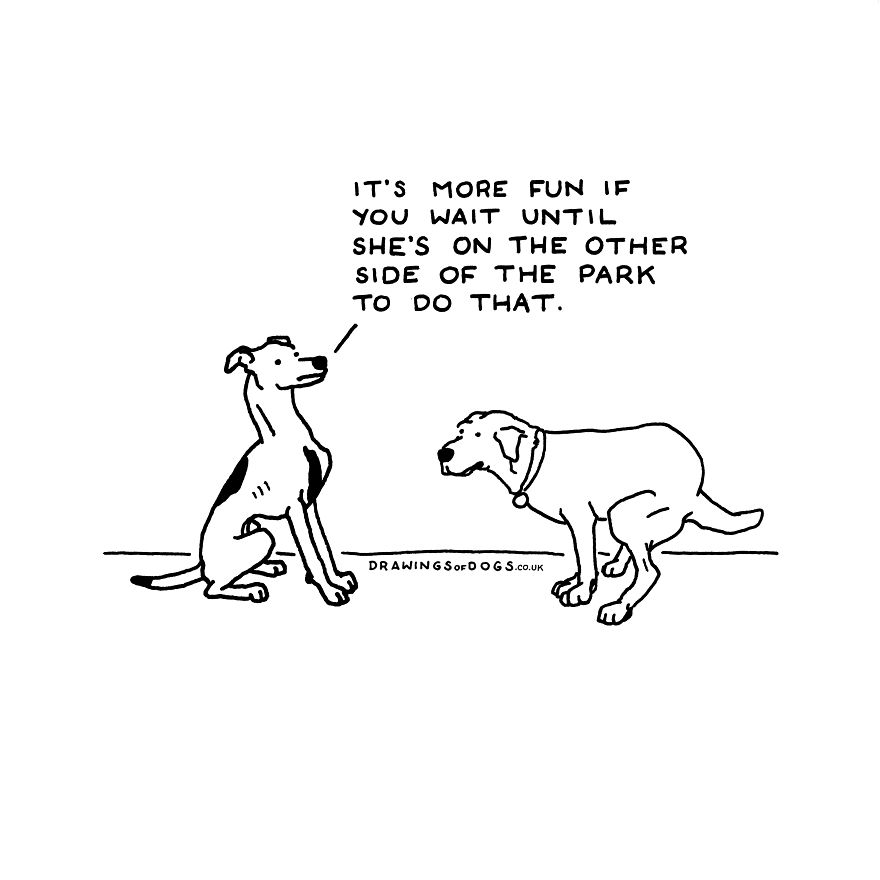 I Started Doing Amusing Drawings Of Dogs When Anxiety Forced Me To Drop Out Of A Philosophy Phd.