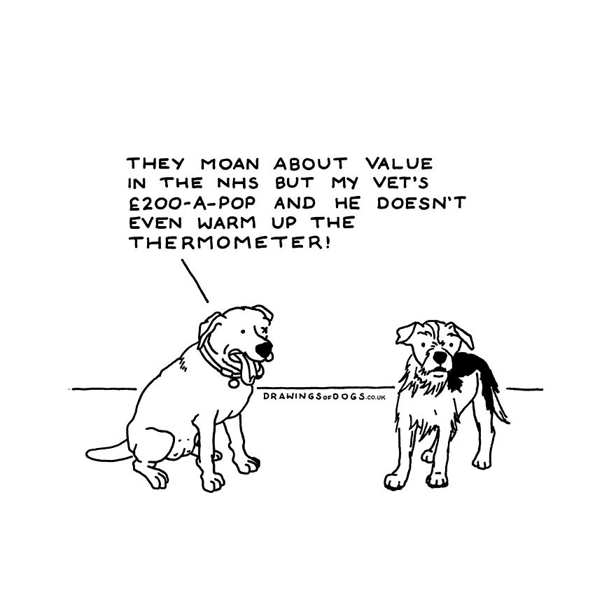 I Started Doing Amusing Drawings Of Dogs When Anxiety Forced Me To Drop Out Of A Philosophy Phd.