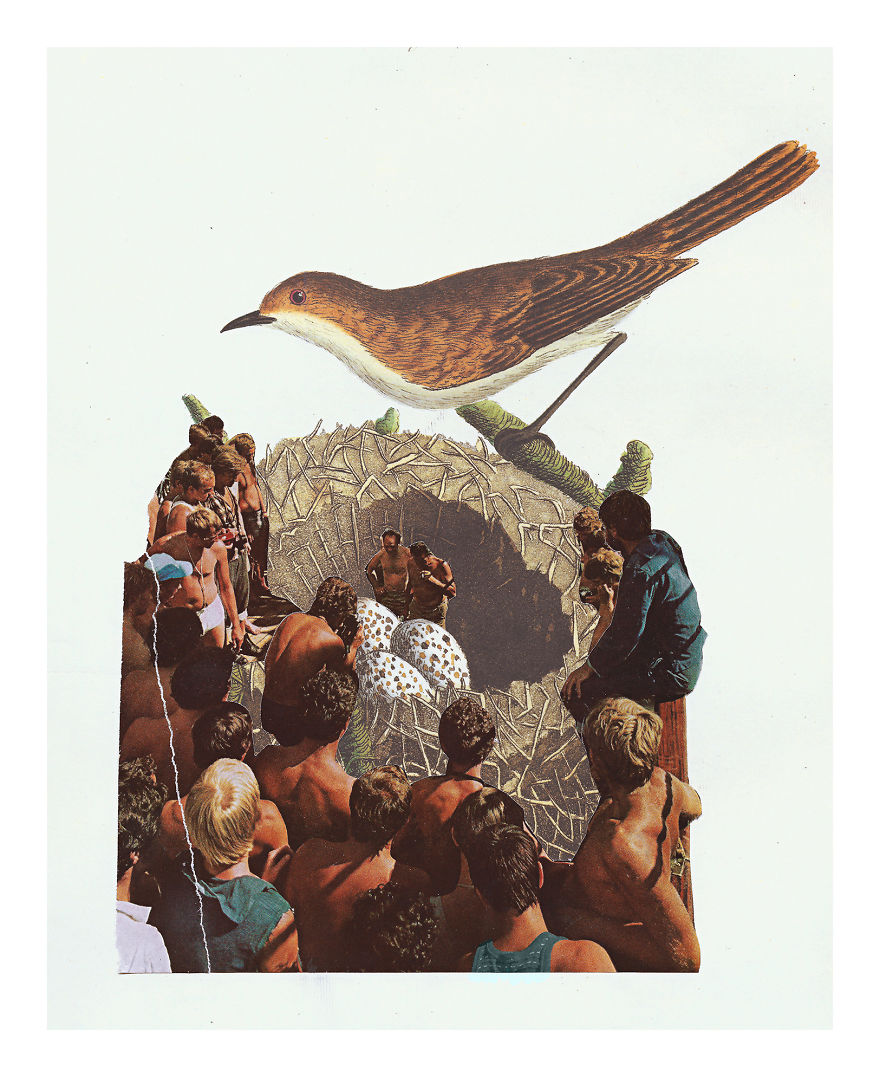 White Breasted Womb Loomers