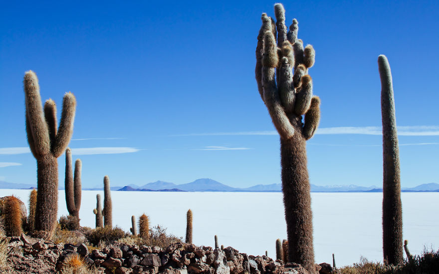 Not Only Salar De Uyuni - I Traveled Bolivia Off The Beaten Track Not Only Salar De Uyuni - I Traveled Bolivia Off The Beaten Track