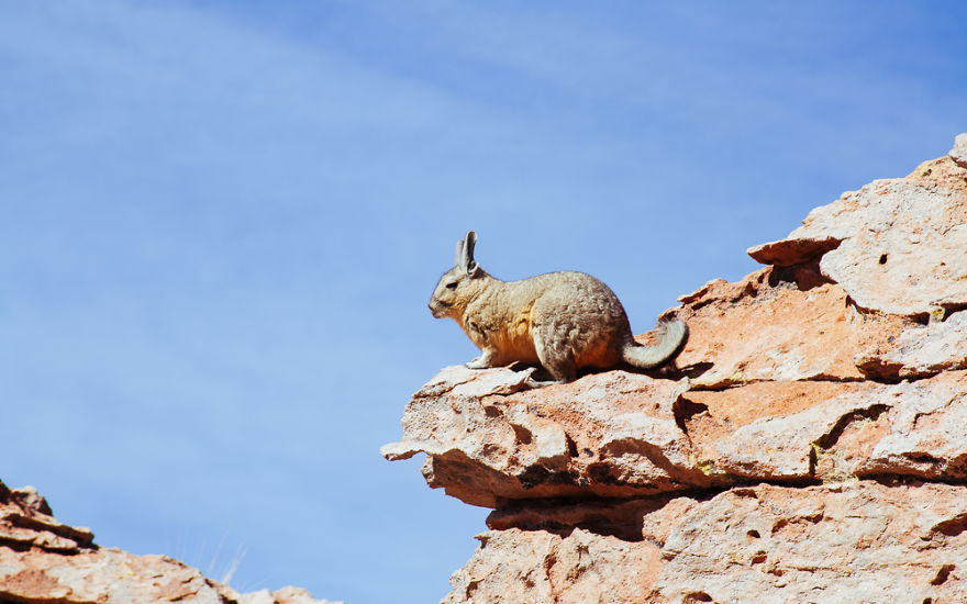 Not Only Salar De Uyuni - I Traveled Bolivia Off The Beaten Track Not Only Salar De Uyuni - I Traveled Bolivia Off The Beaten Track