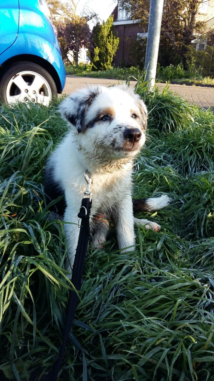 Whoops, I Just Sniffed Somthing