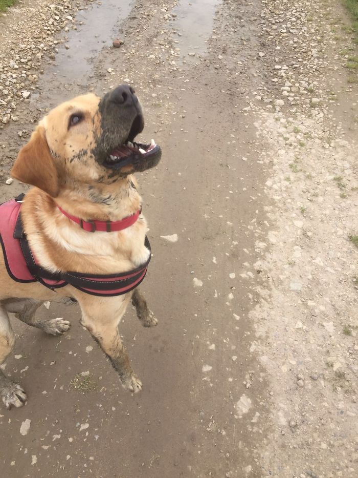 Can't Take Him Anywhere!!