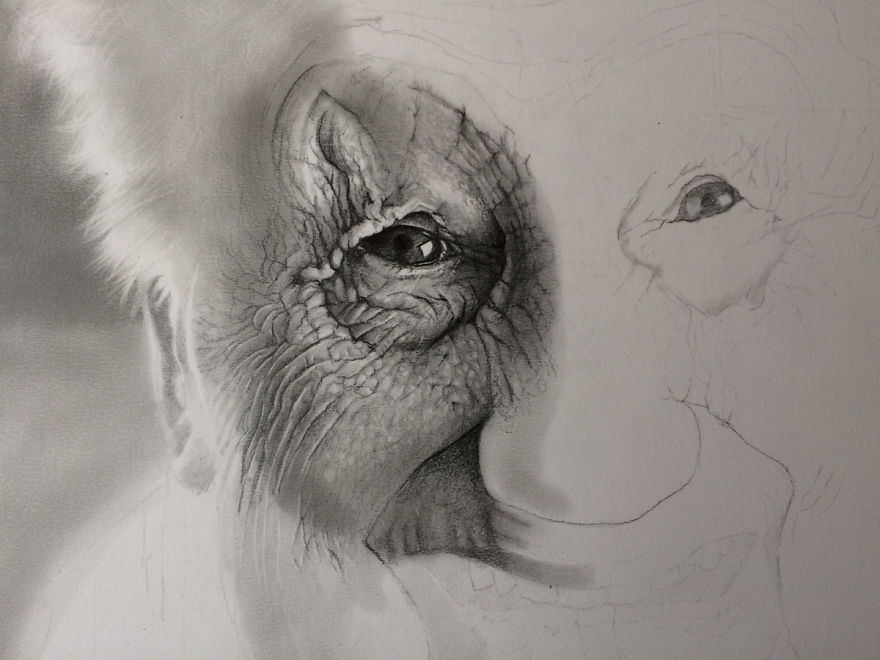 Belgian Artist Drew An Incredible Portrait Of An Elder Lady