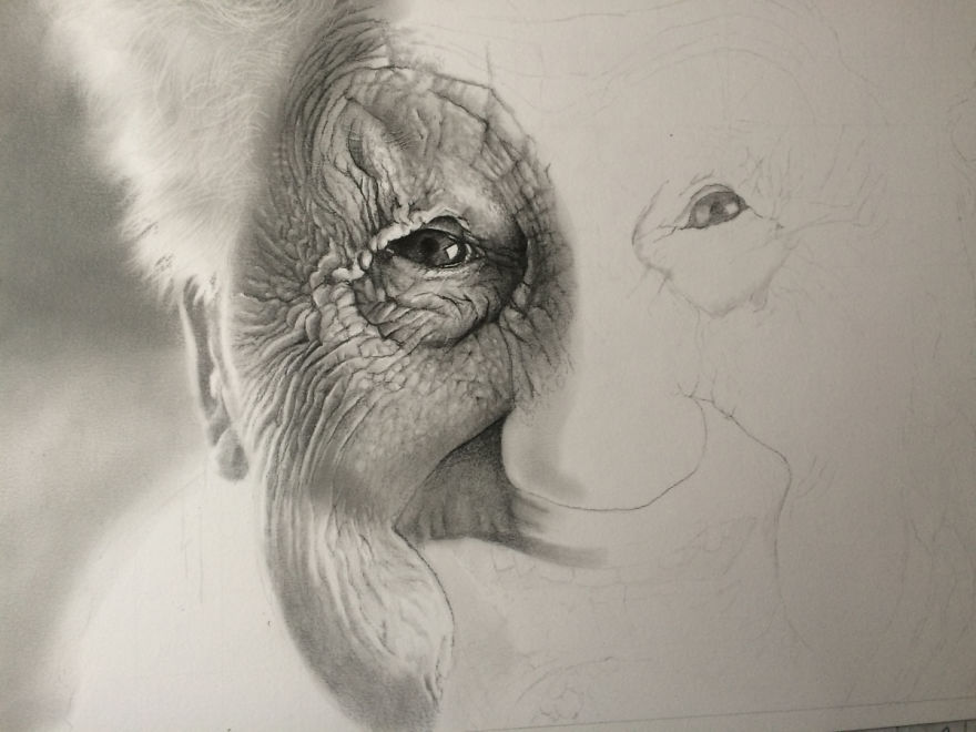 Belgian Artist Drew An Incredible Portrait Of An Elder Lady