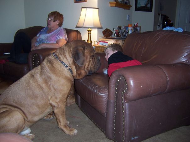 Some One Is In My Chair