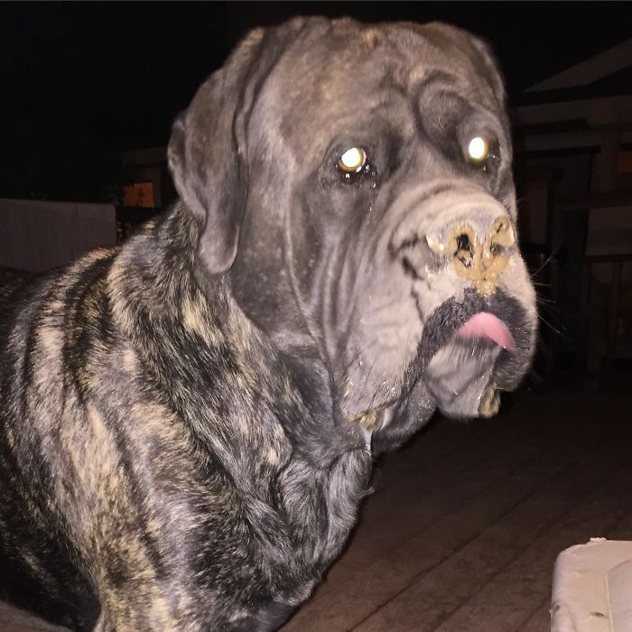 I Told You I Didn't Need A Sheet To Be A Ghost For Halloween.