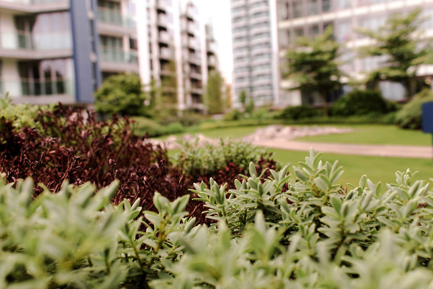 I Spent A Cloudy Afternoon Capturing Hidden Spots In My Neighbourhood I Spent A Cloudy Afternoon Capturing Hidden Spots In My Neighbourhood