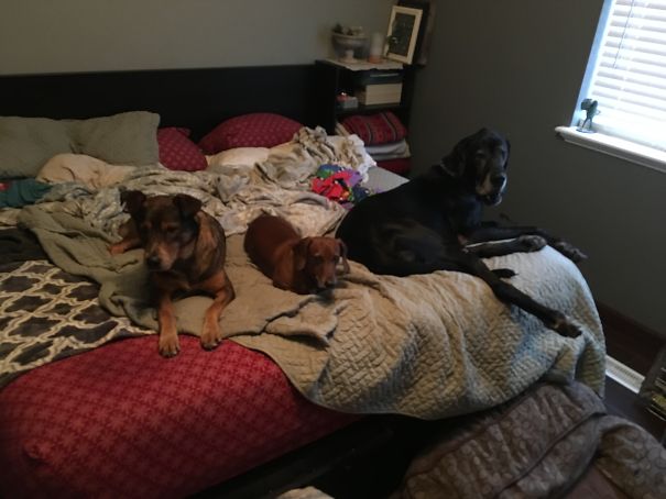 Their Bed As Well As Mine