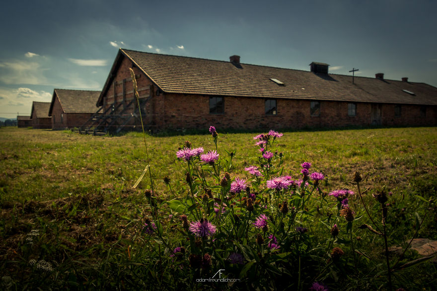I Photographed Auschwitz And Birkenau In Color I Photographed Auschwitz And Birkenau In Color