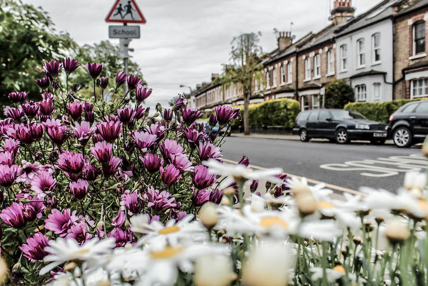 I Spent A Cloudy Afternoon Capturing Hidden Spots In My Neighbourhood I Spent A Cloudy Afternoon Capturing Hidden Spots In My Neighbourhood