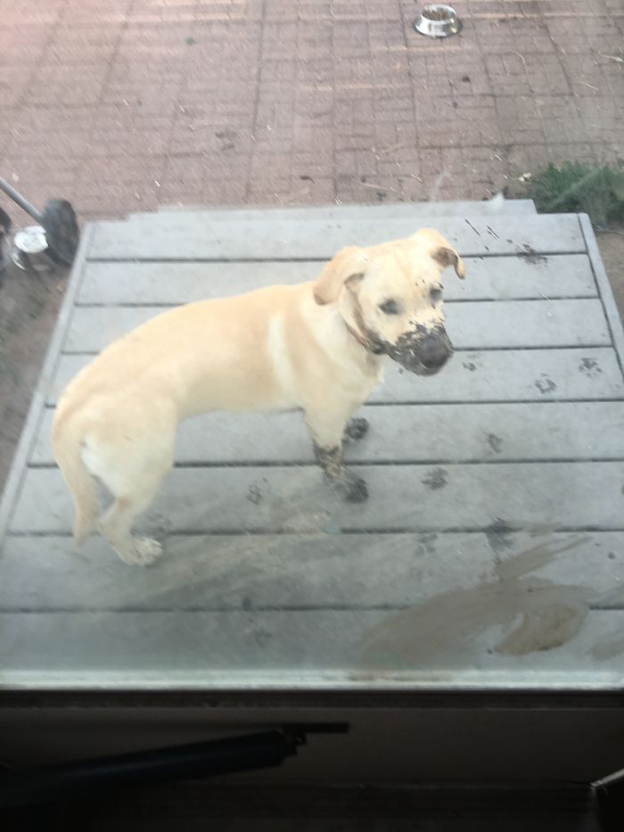 This Is What Happens When You Leave Me Home And You Go On Vacation Without Me!!