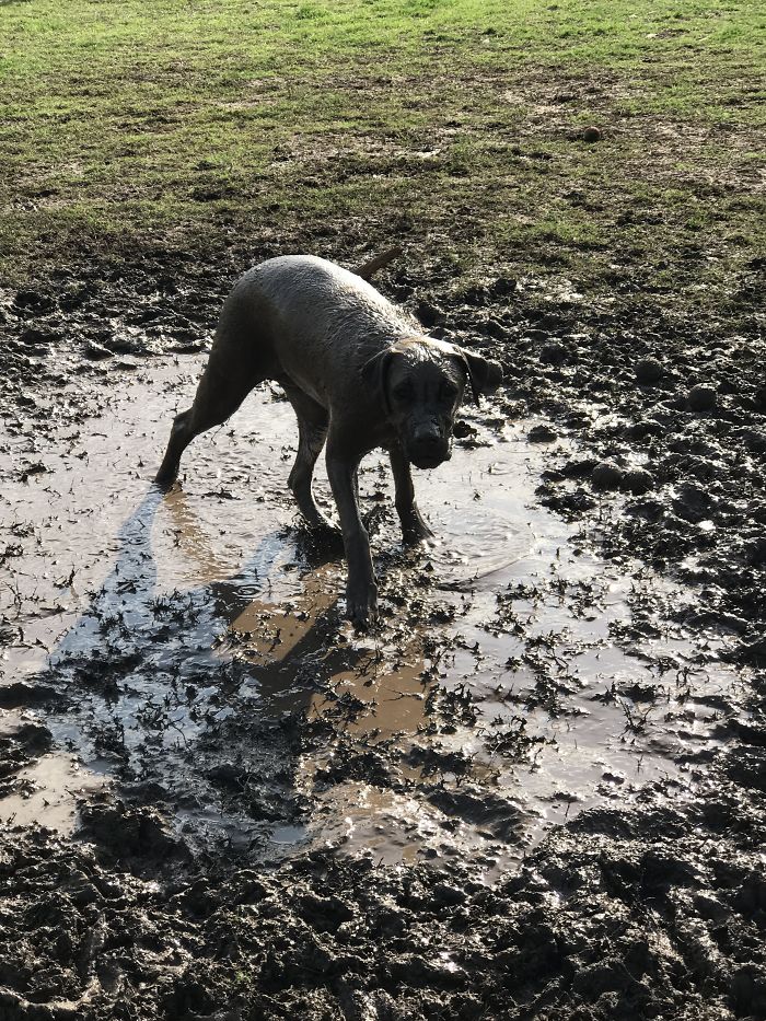 You Said To Have Fun!