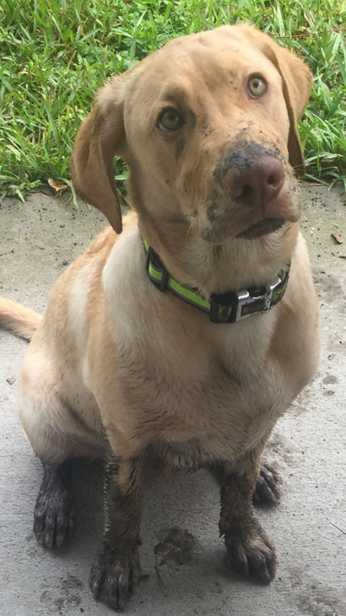 But I'm So Stinkin Cute... 💙