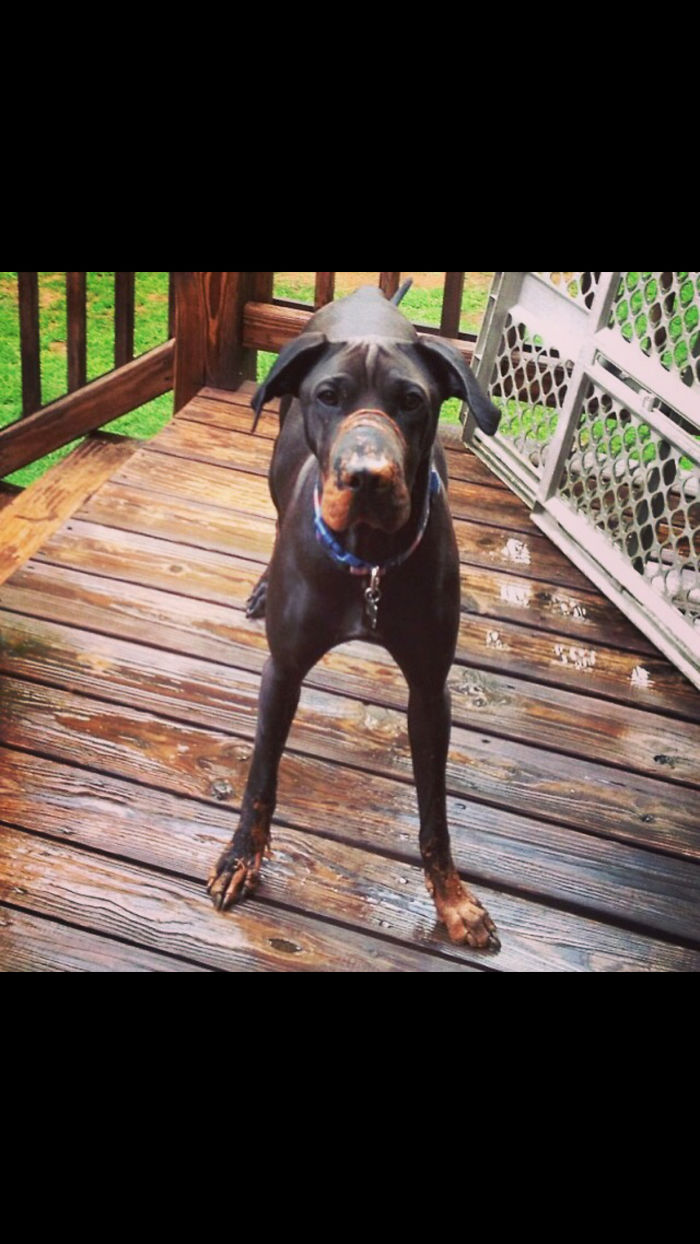 Not Even 5 Minutes Post Bath (he Hates Baths)