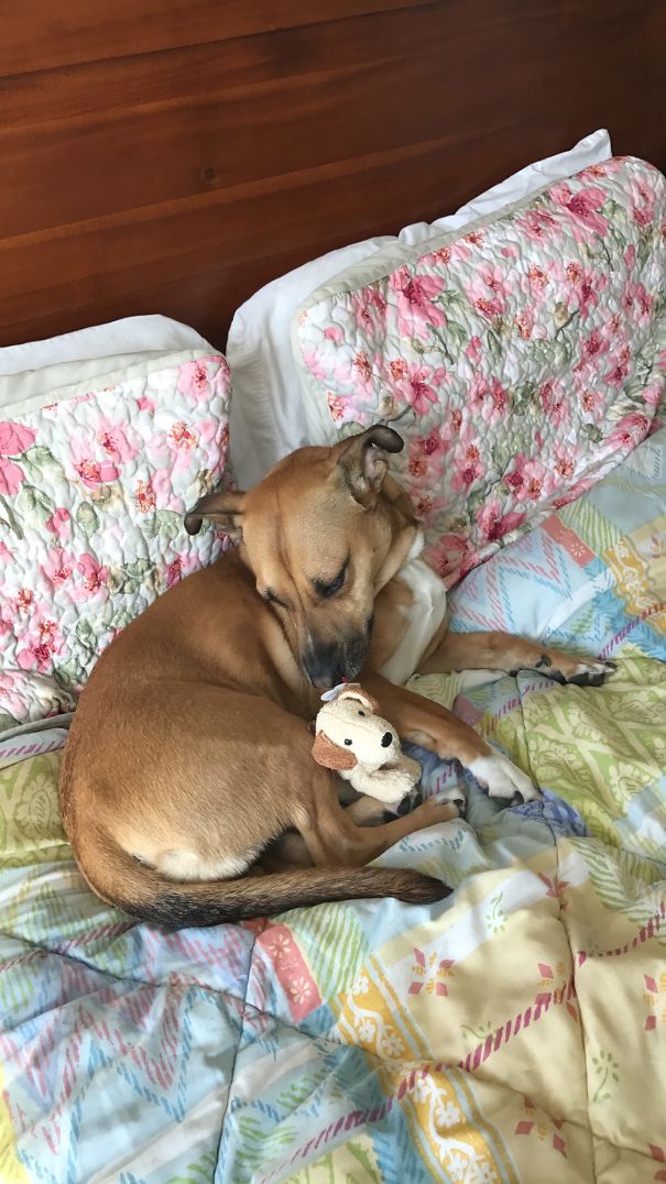 Making Sure Her Baby Is Tucked In