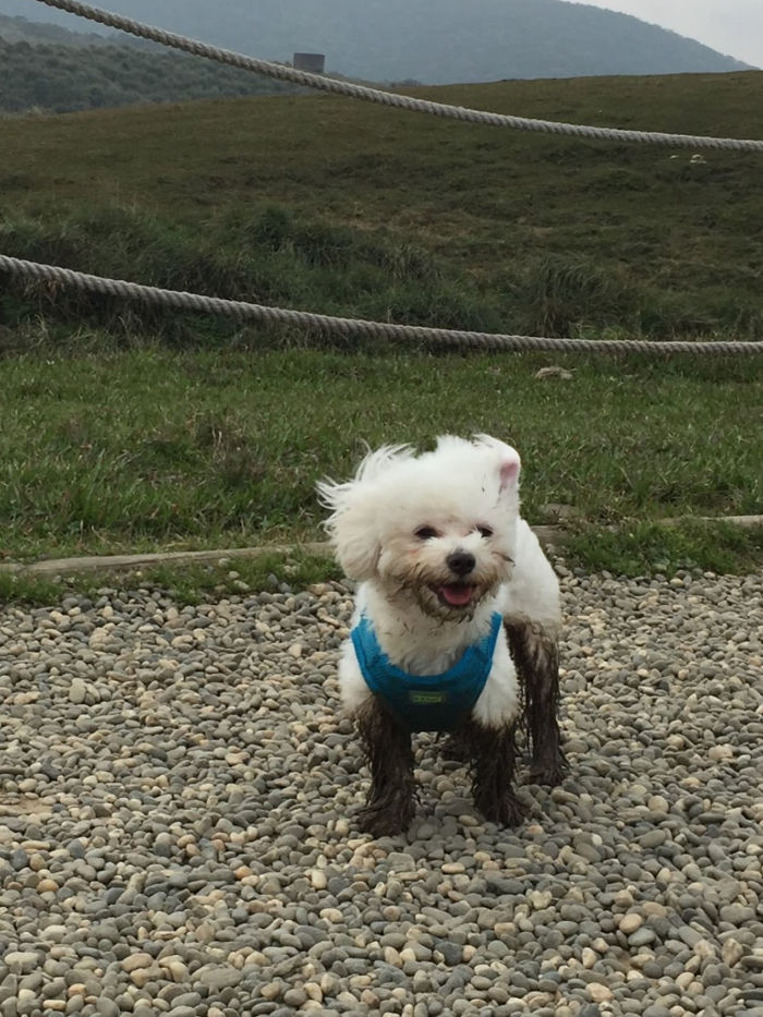 He Loves Mud. Definitely!