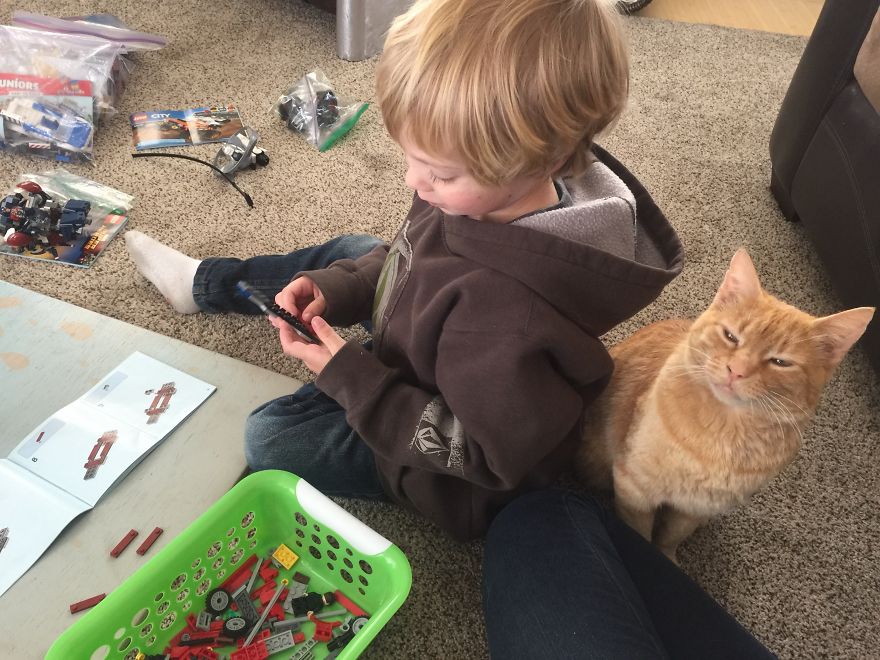 We Adopted A Stray Cat And He Can't Stop Showing His Gratitude