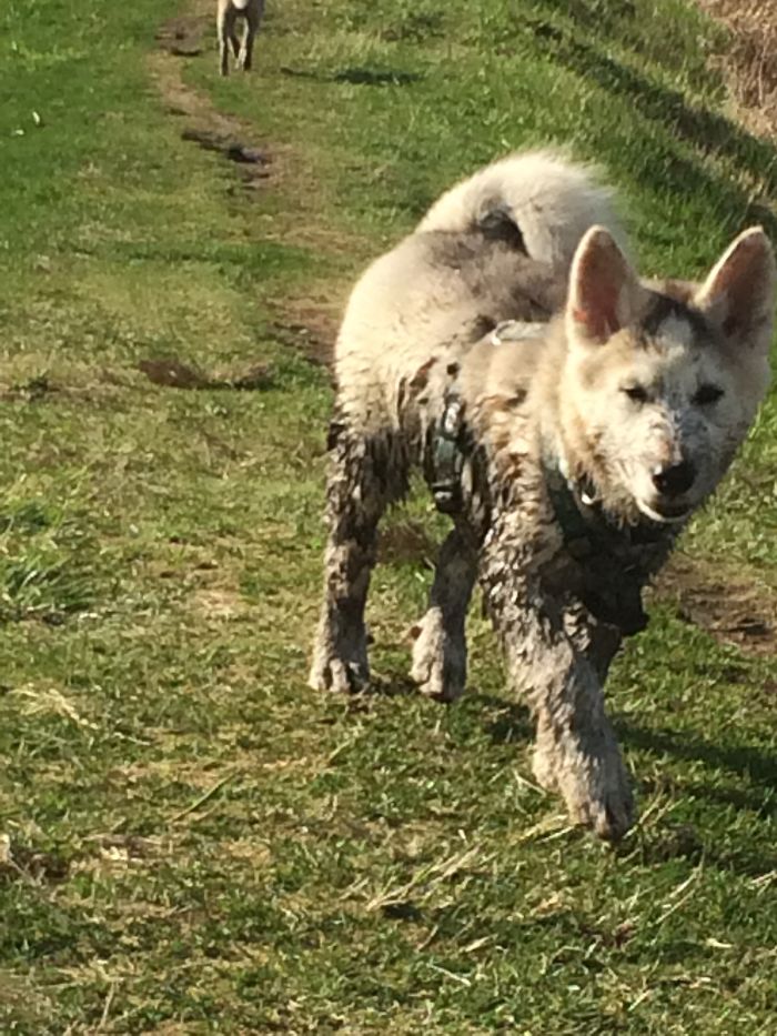 Find Some Mud...challenge Accepted!