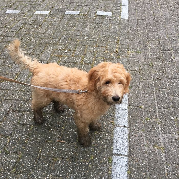 He Thinks He Can Go Straight To Bed Like This.