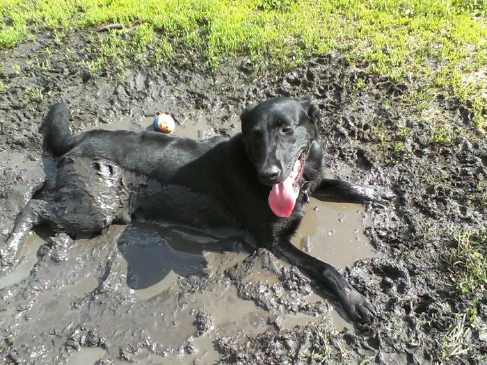 Mud Bath