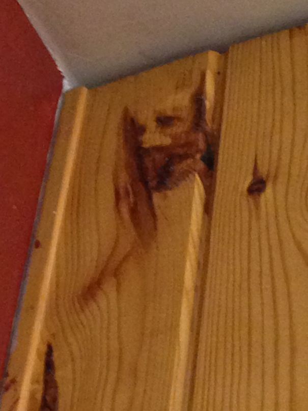 Dude With A Beard And Long Hair.