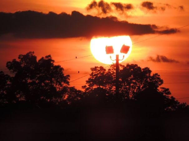 When I Snapped This Picture, I Didn't See The Light Post! It Looks Like Something From A Nightmare Before Christmas!