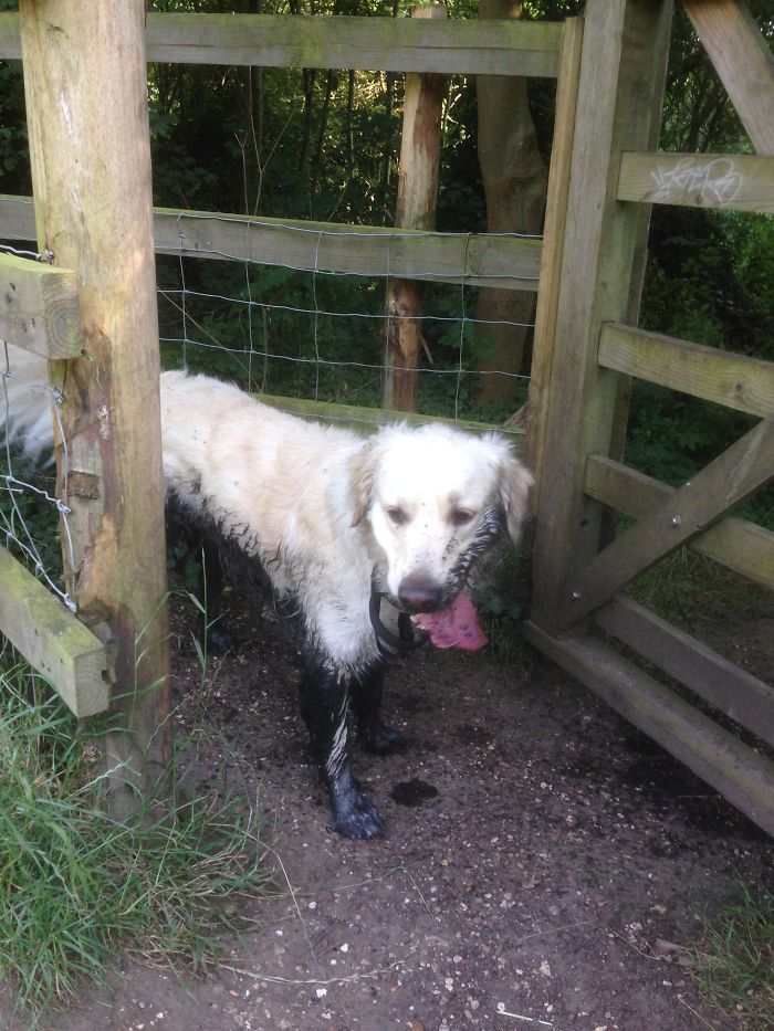 Dad'll Never Notice.....