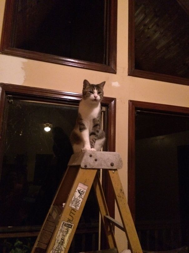 Stop Taking Pics, I Can Get Down