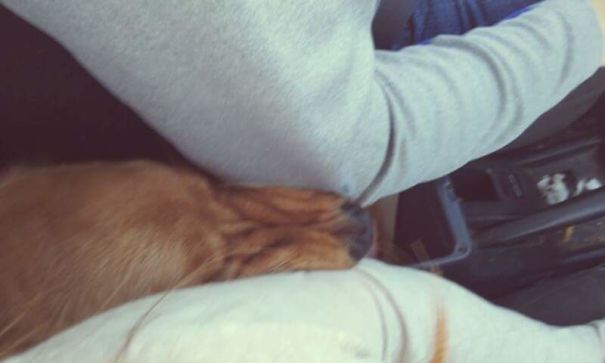 He's Not Allowed Up Front When We're Both On The Car.